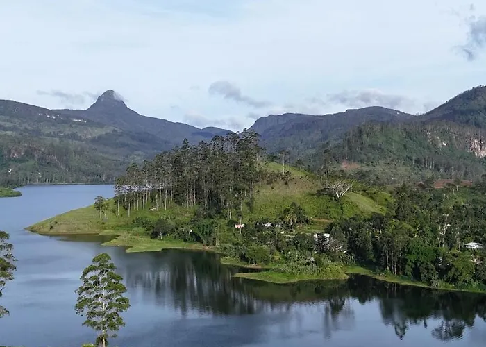 Pekoe Lodge